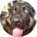 Steve Cope profile picture